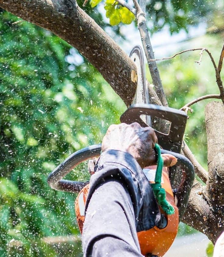 J Tree Service founder