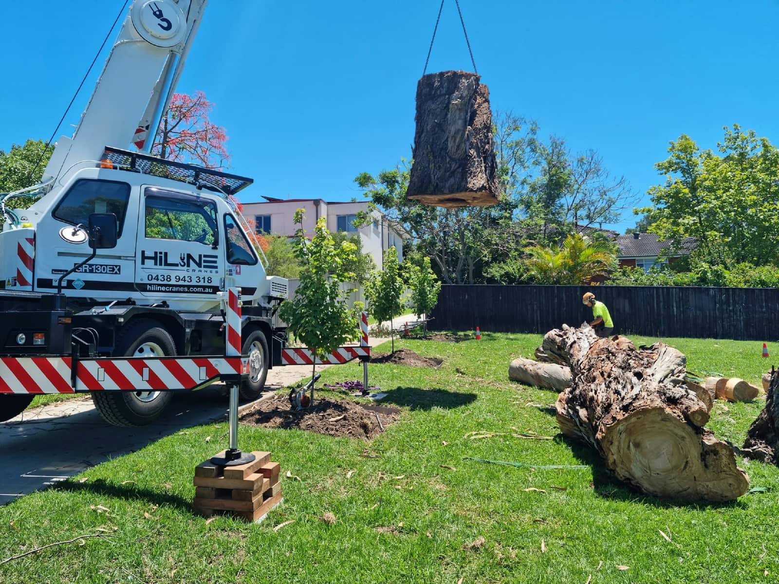 Stump grinding service Charlotte NC